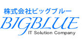株式会社BIGBLUE